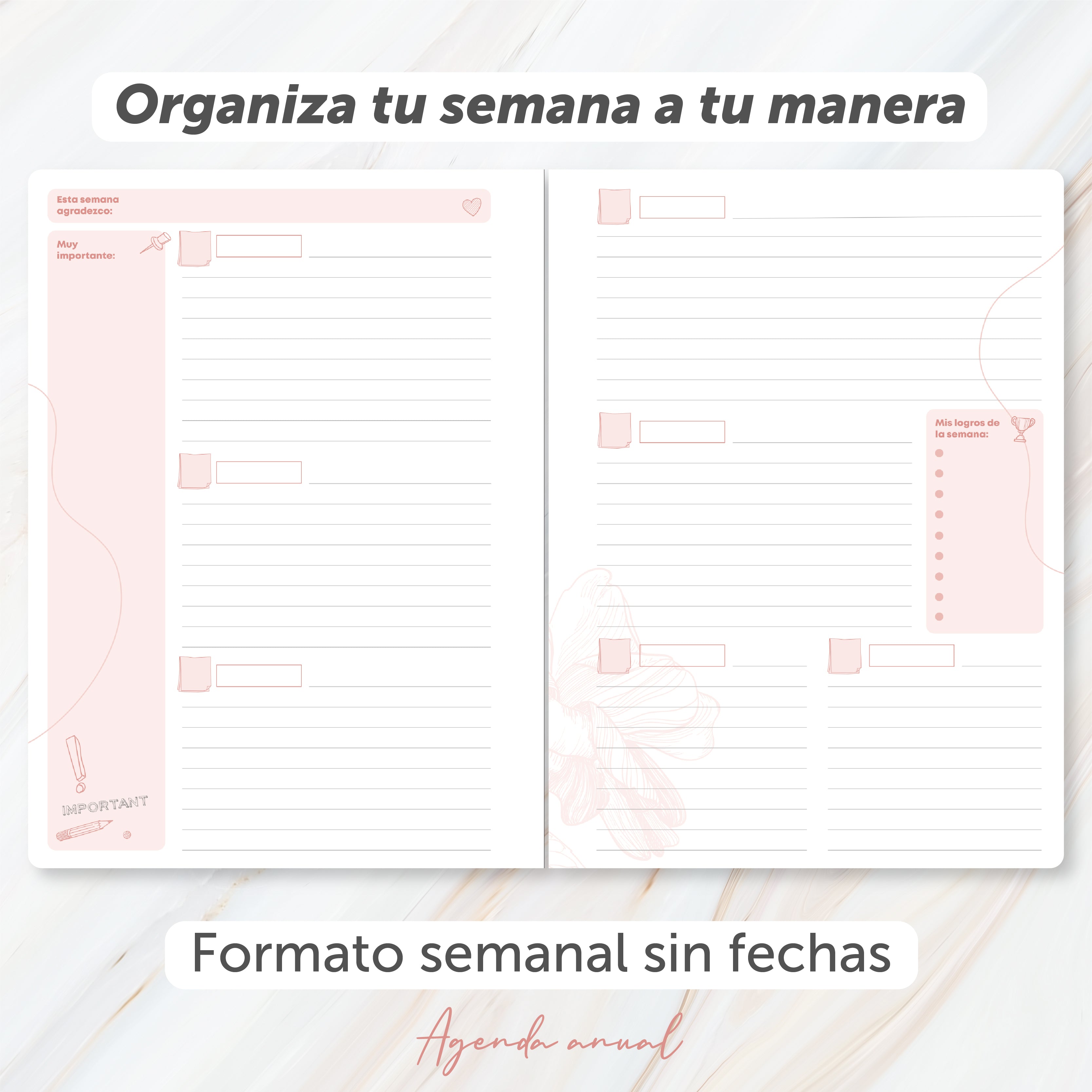 Agenda Entre Nosotros