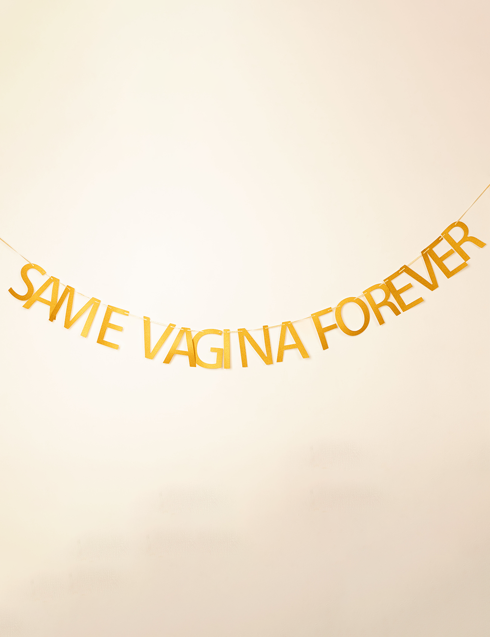 Banner "Same Vag*na Forever"