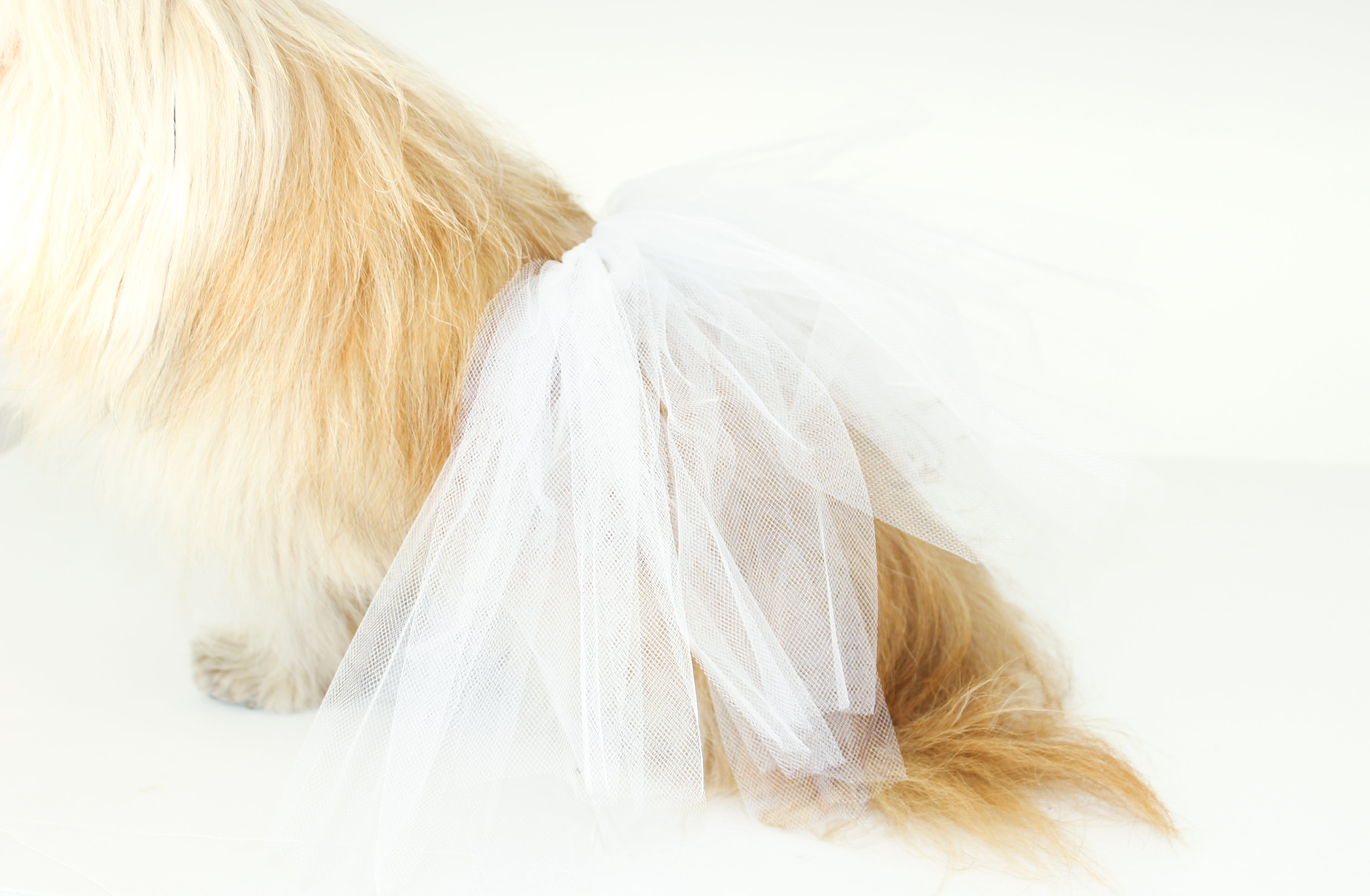 Tutu blanco de tulle para mascota